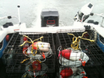 stacked crab pots