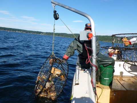 Discovery Bay Marine Gear, Crabbing Equipment