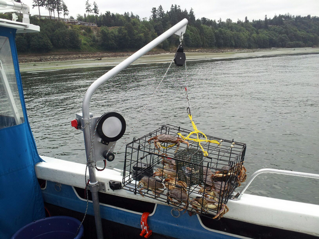 Discovery Bay Marine Gear, Crabbing Equipment, Crab Pot Pullers