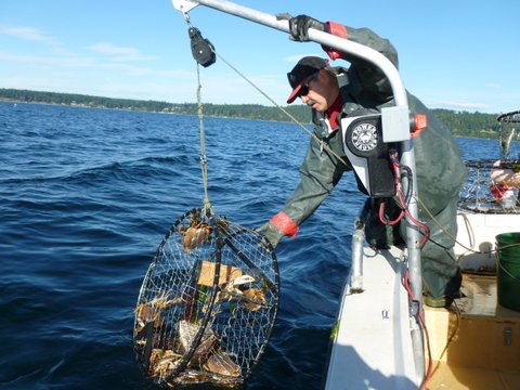 Discovery Bay Marine Gear, Fishing Gear, Crabbing Equipment